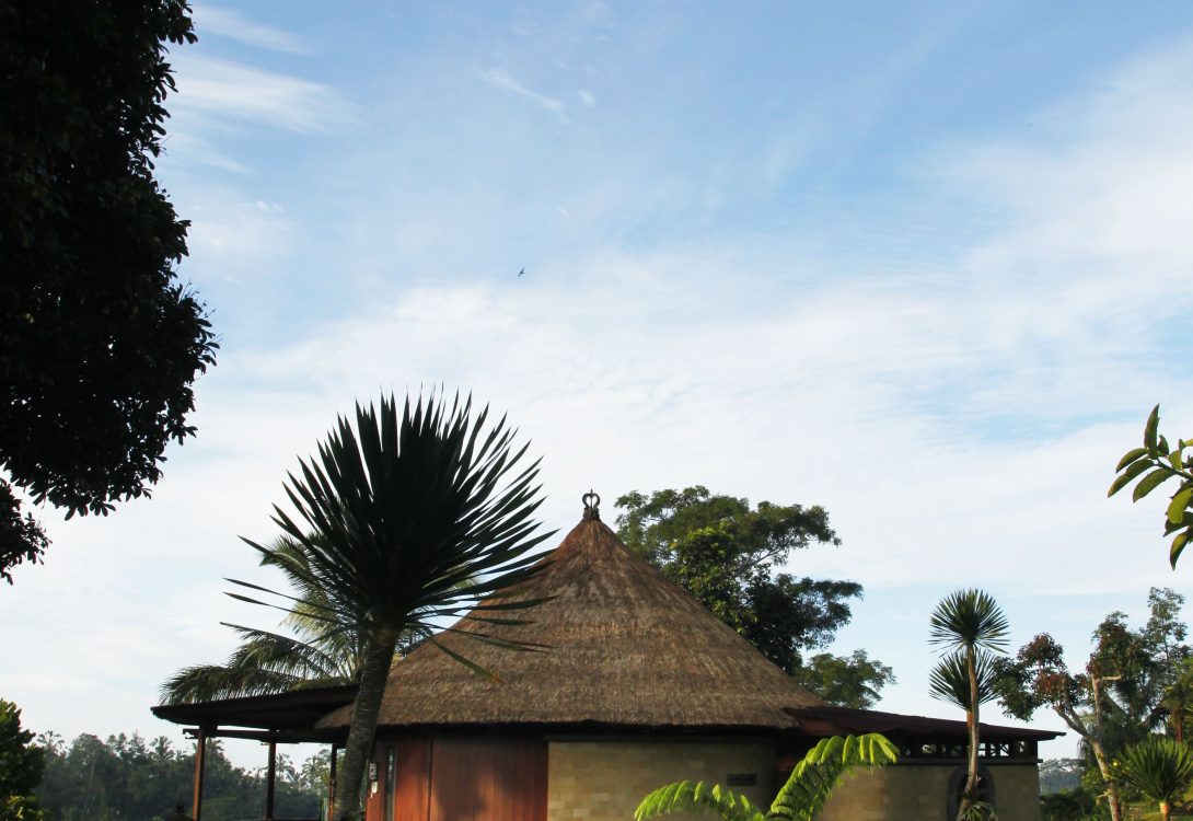 Deluxe Spa Villa